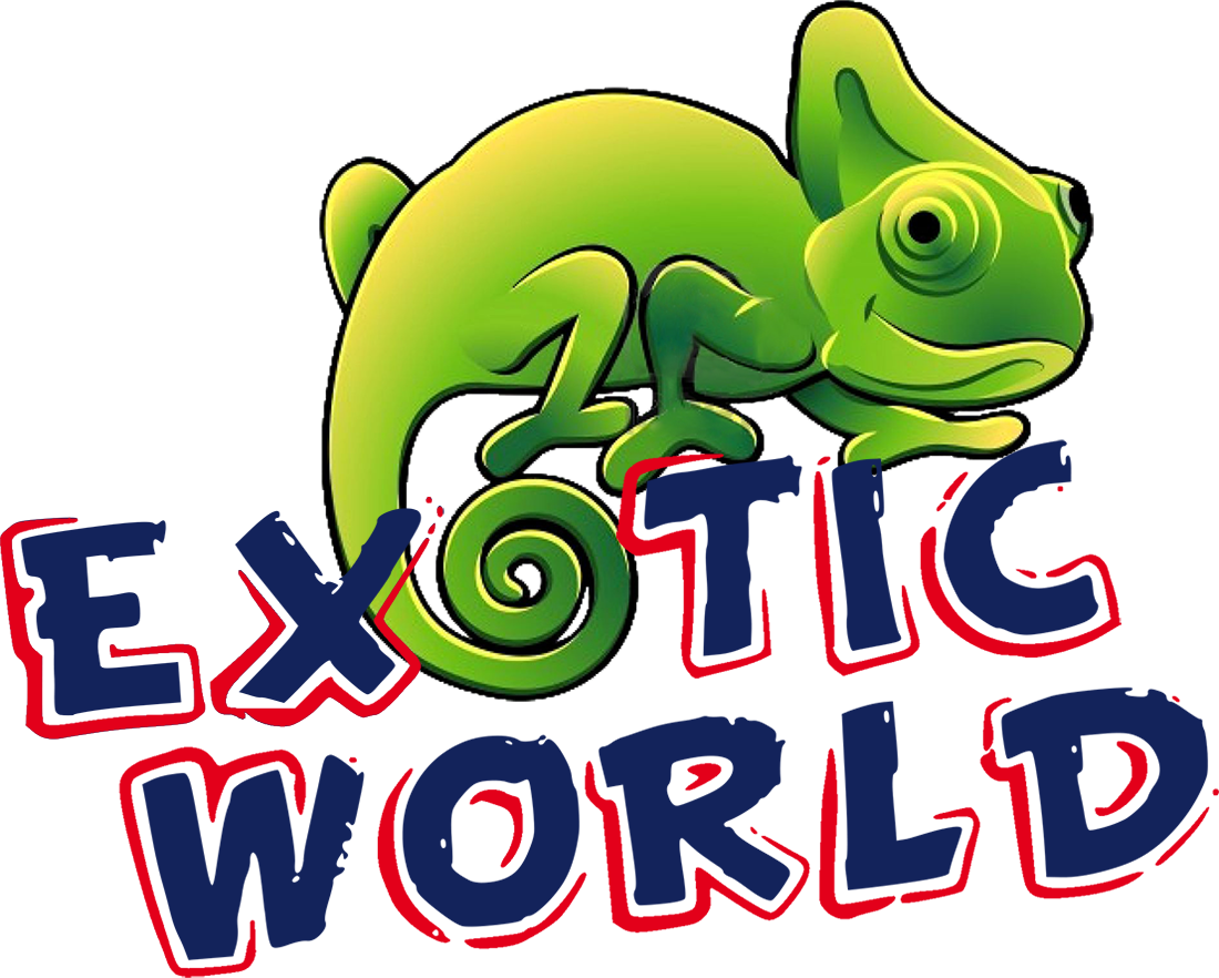 EXOTIC WORLD PNG logo