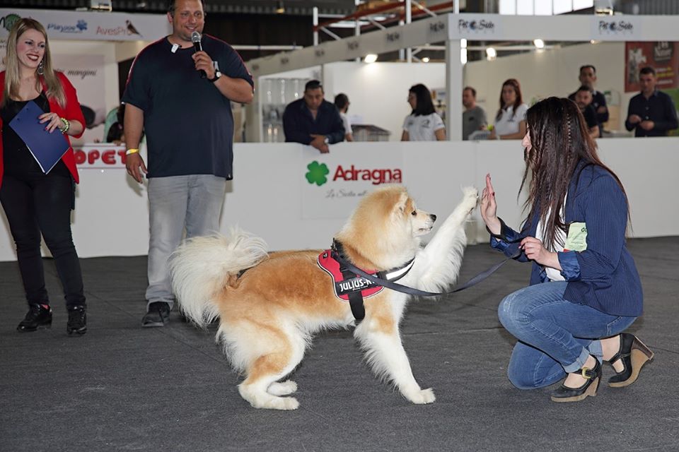 Il Prossimo Appuntamento con Expopet 2018 è il 3 e 4 Novembre a Catania